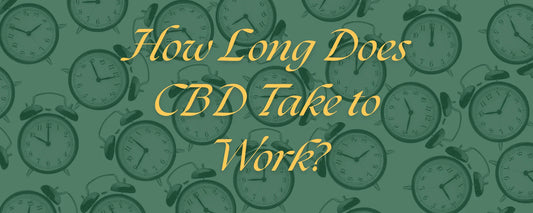 How Long Does CBD Take to Work?