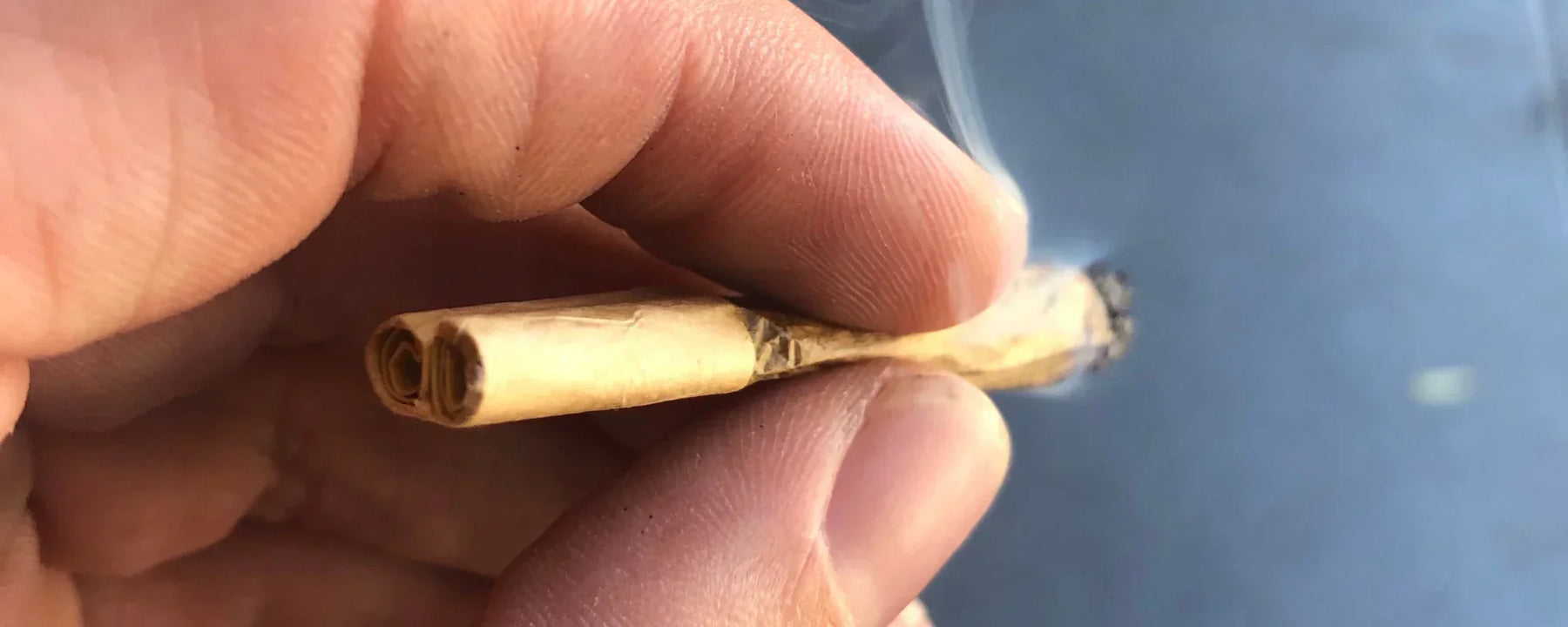 Double roach (tip) in a hemp flower joint