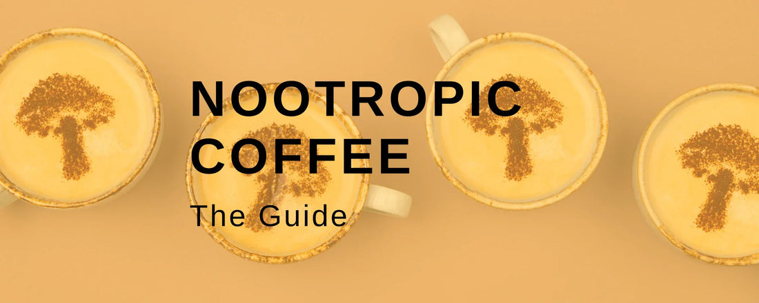 Nootropic Coffee - the guide