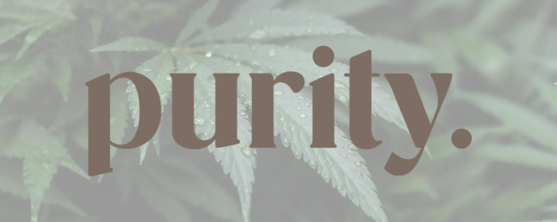 Purity CBD Logo