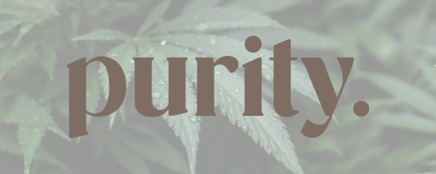 Purity CBD Logo