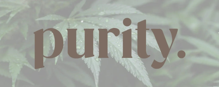 Purity CBD Logo