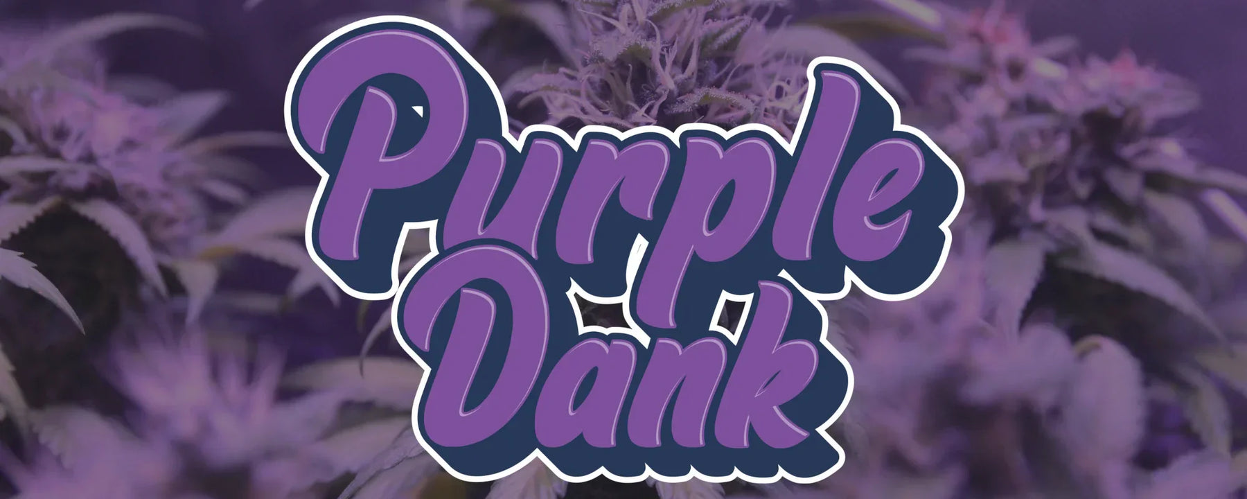 Purple Dank CBD logo