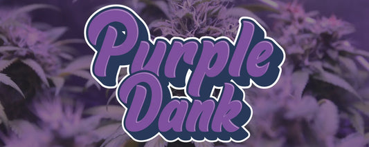 Purple Dank CBD logo