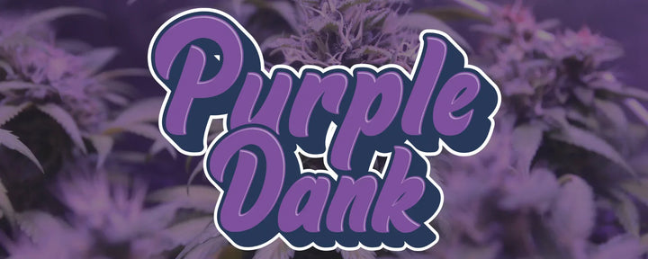 Purple Dank CBD logo