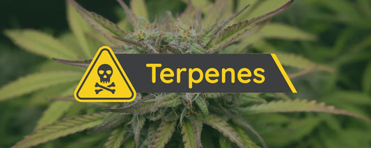 TERPENES