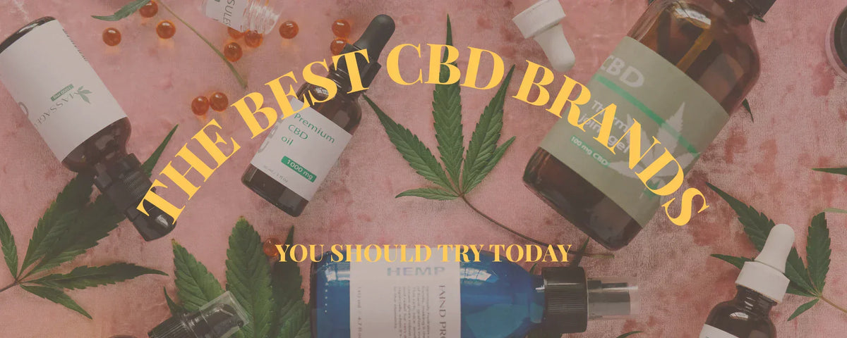 Selection of CBD brands available at The CBD Hut