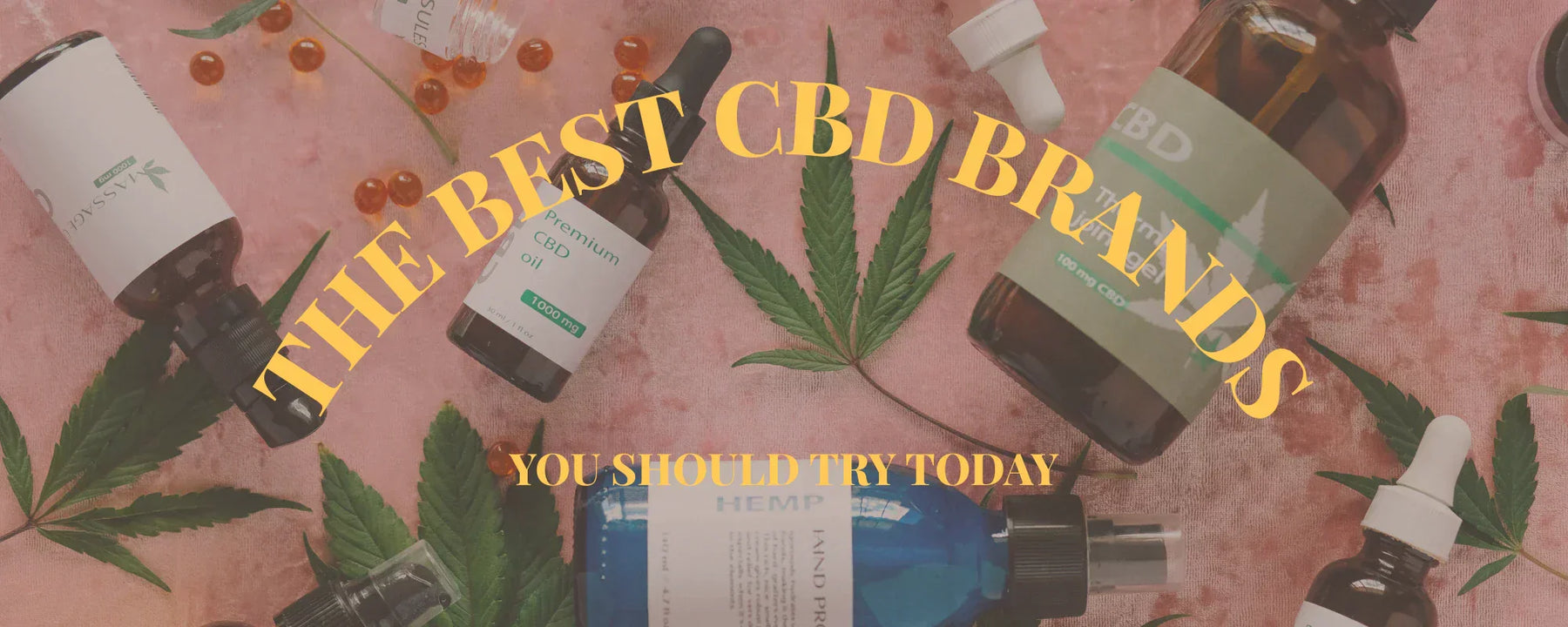 THE BEST CBD BRAND YOU SHOULD TRY TODAY