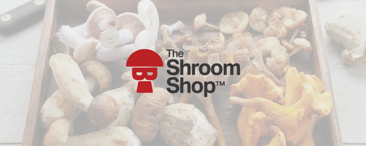 The Shroom Shop logo