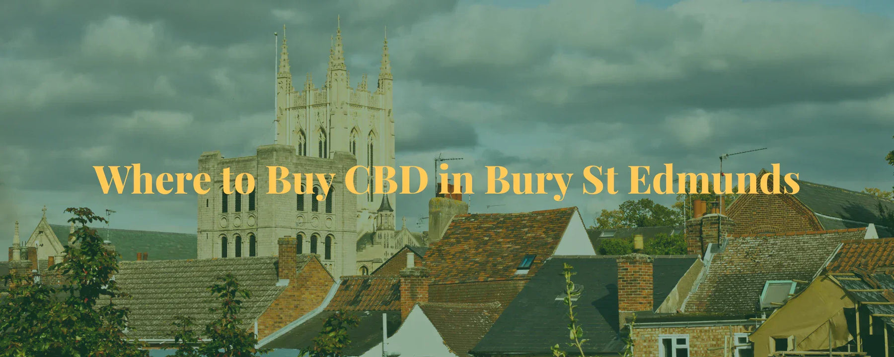 Where to Buy CBD in Bury St Edmunds