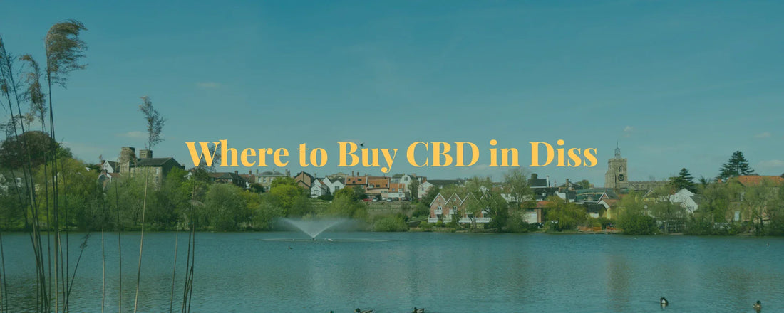 Where to Buy CBD in Diss