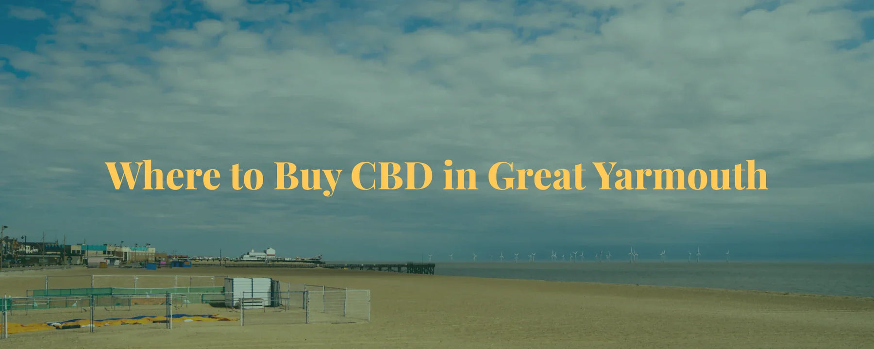 Where to Buy CBD in Great Yarmouth