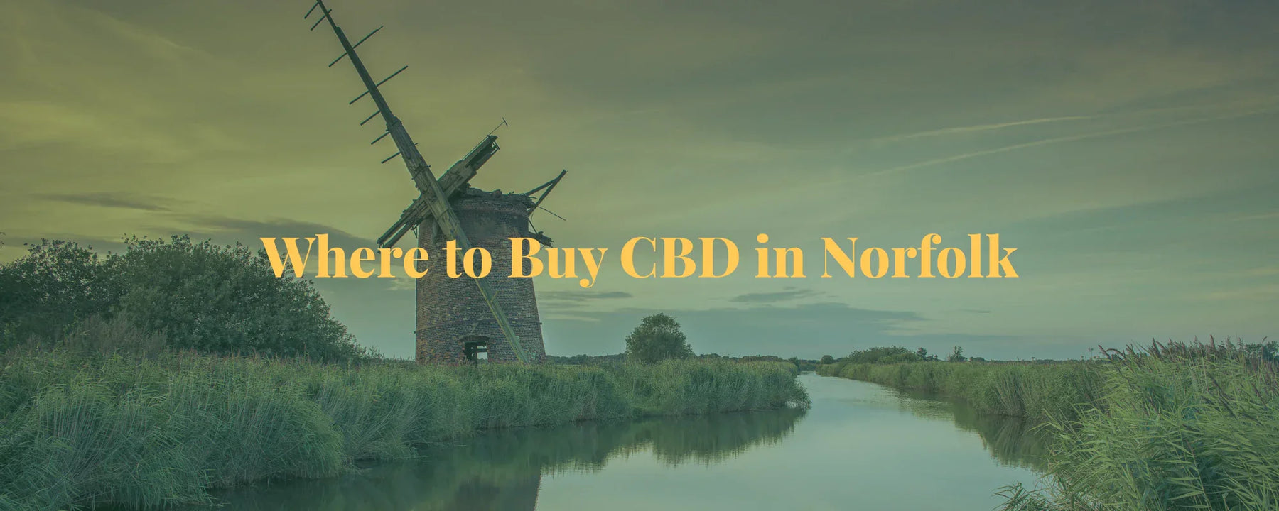 Where to Buy CBD in Norfolk
