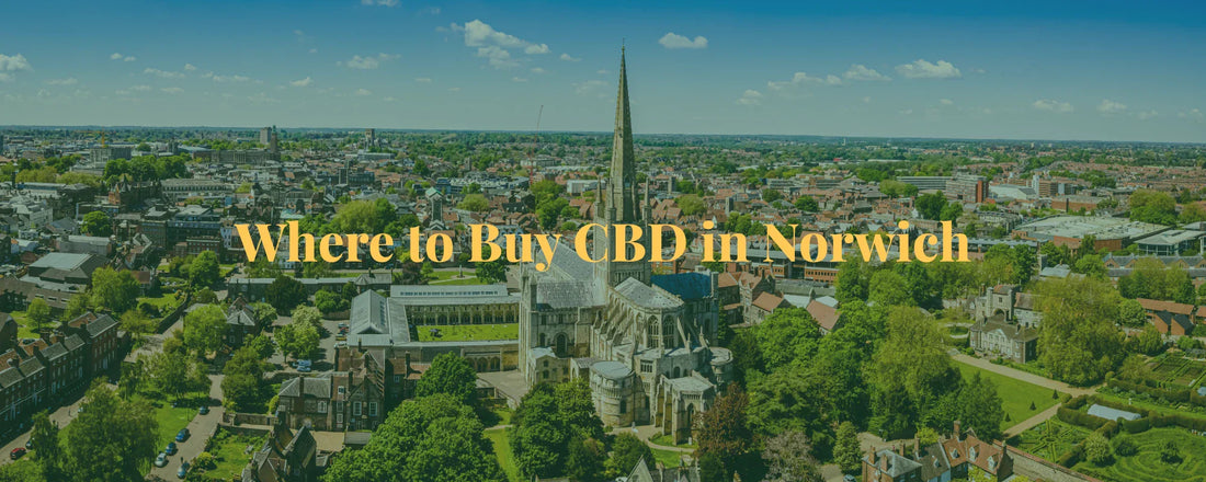 Where to Buy CBD in Norwich