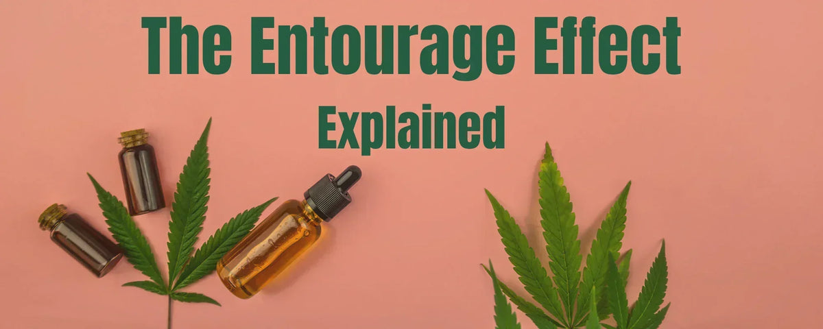 Illustration representing cannabinoids and terpenes in a hemp extract