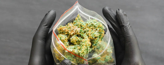 hemp flower in a seal proof bag