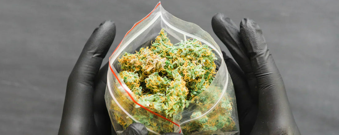 hemp flower in a seal proof bag