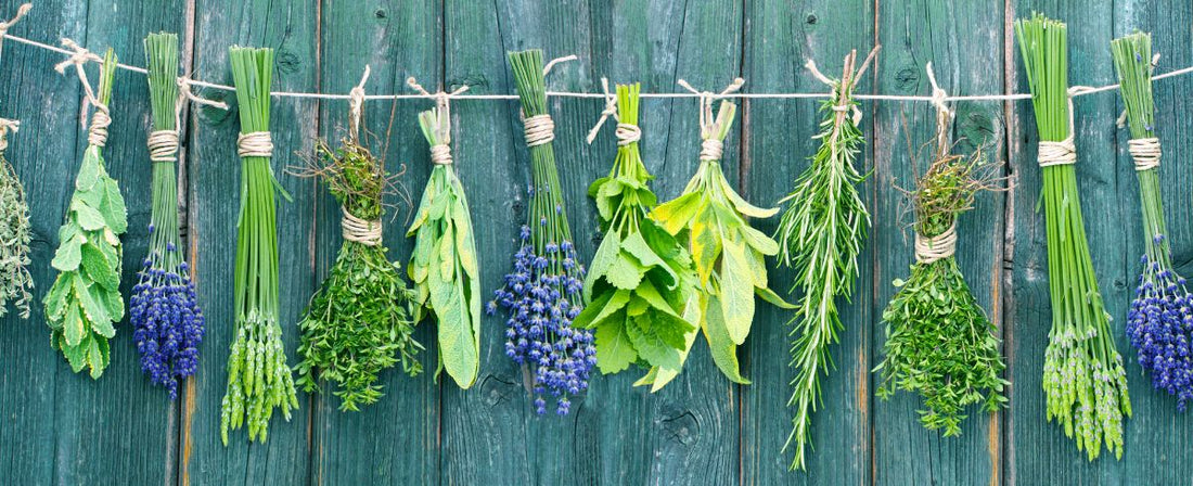 Dry herbs