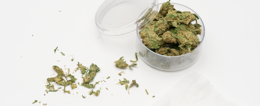 Cannabis in a storage container