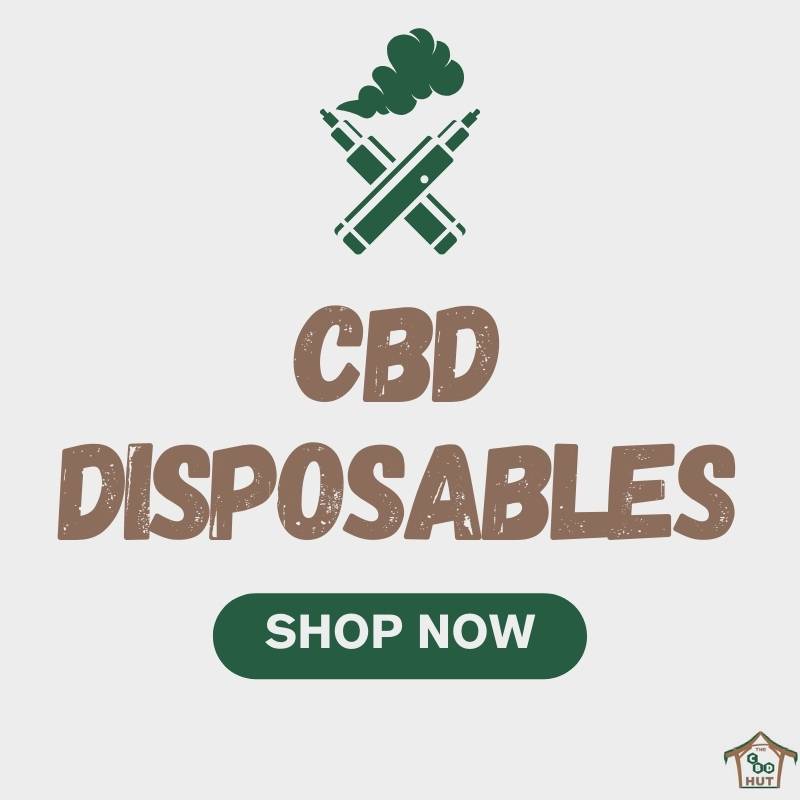 CBD Disposables - Shop Now