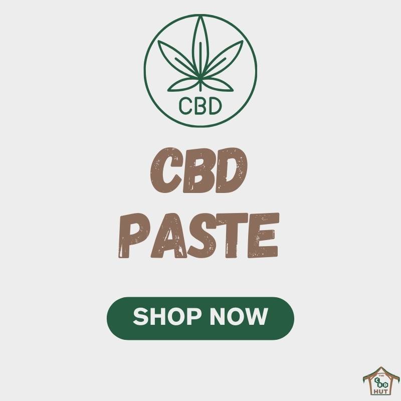 CBD Paste- Shop Now
