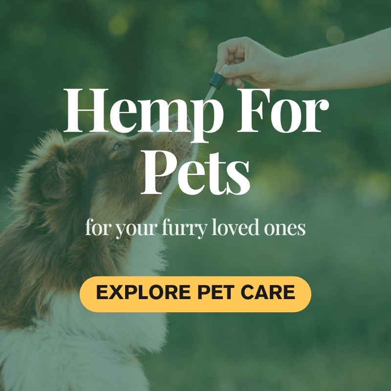 CBD for Pets – Oils, Treats & Wellness Products