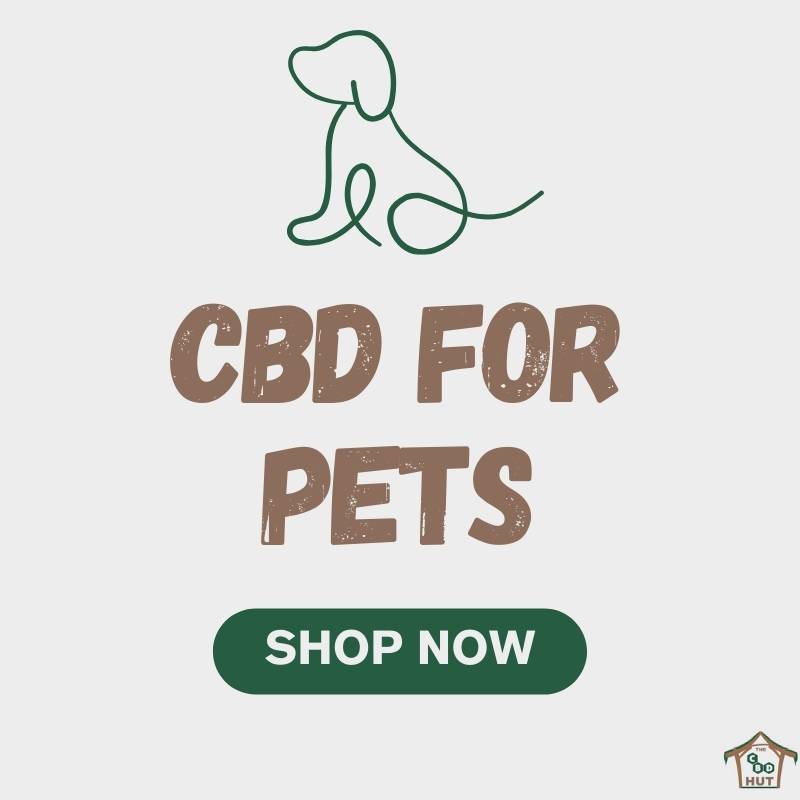 CBD For Pets - Shop Now