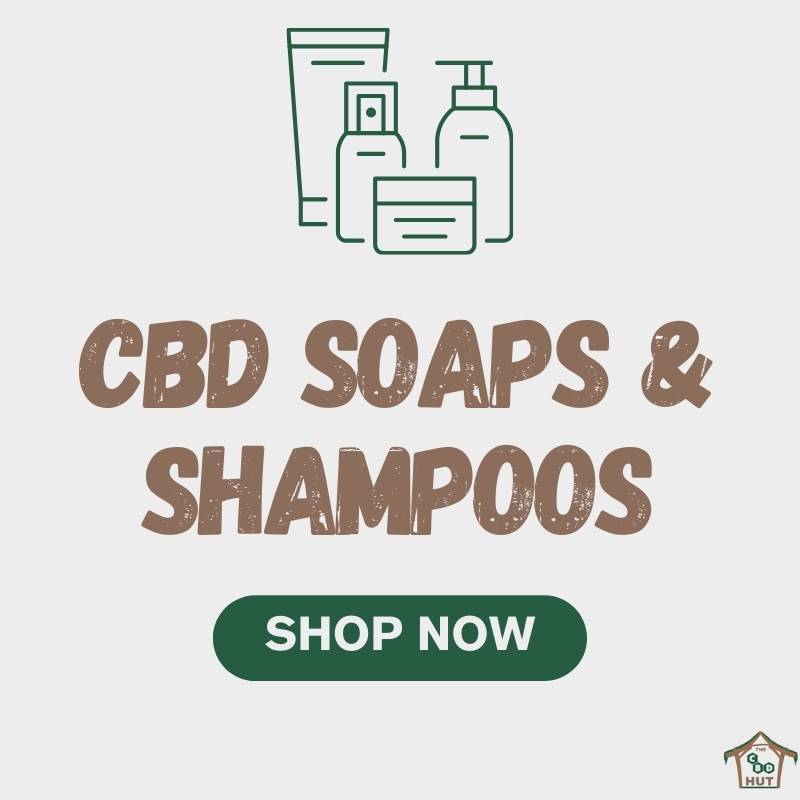 CBD Soaps & Shampoos - Shop Now