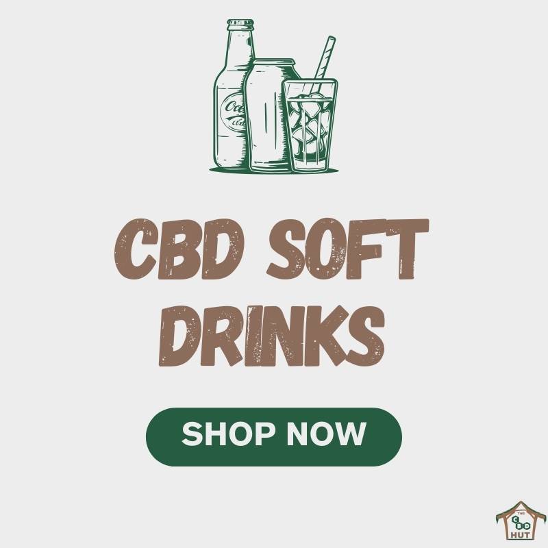 CBD Soft Drinks - Shop Now