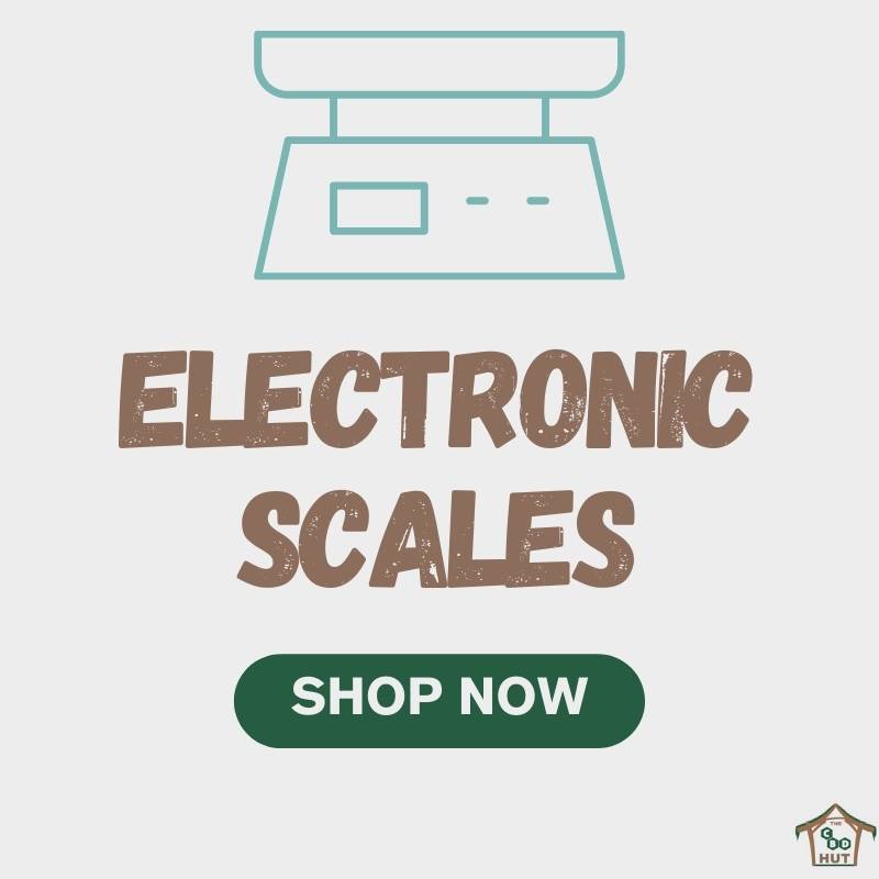 Electronic Scales - Shop Now