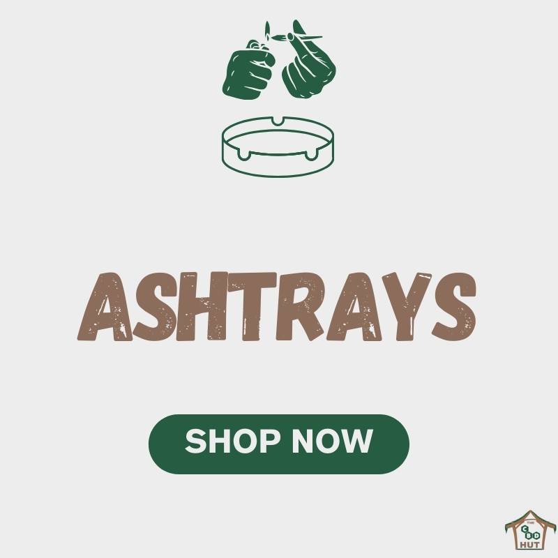 Ashtrays - Shop Now