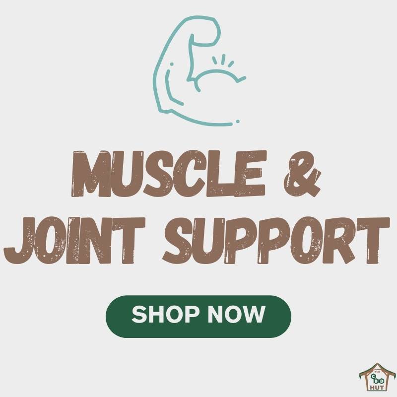 Muscle & Joint Support Products - Shop Now