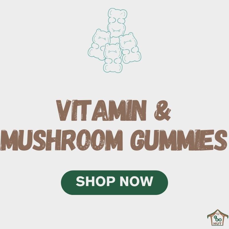 Vitamin & Mushroom Gummies - Shop Now