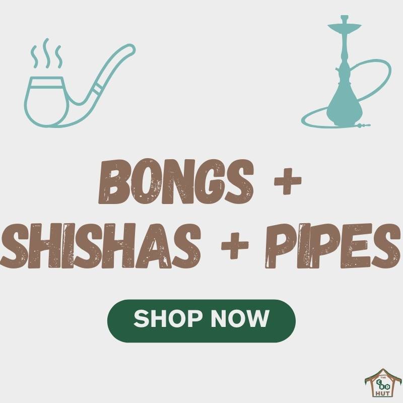Bongs, Shishas & Pipes - Shop Now
