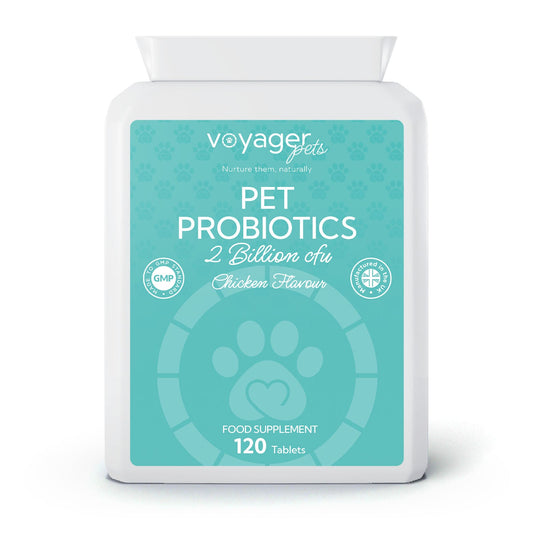 Voyager Pet Probiotics 2 Billion CFU - front view