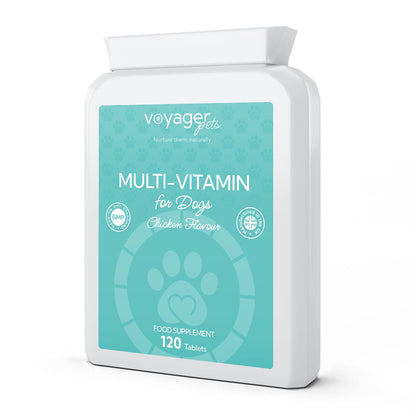 Voyager Multivitamin for Dogs 120 Chicken Flavour Tablets - front view