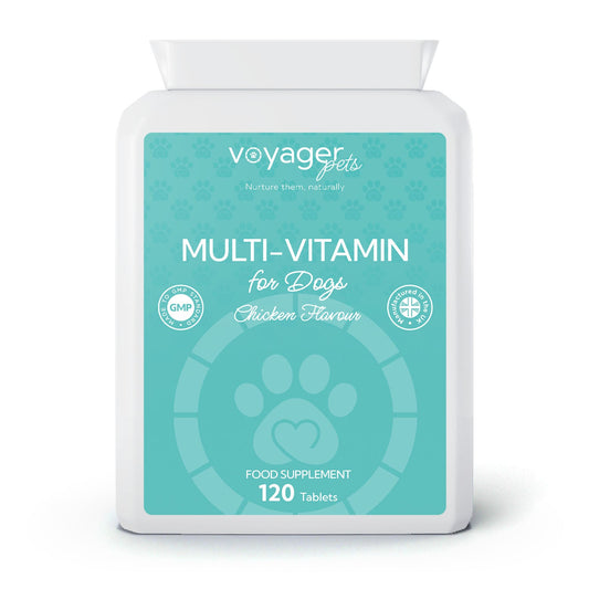 Voyager Dog Multivitamin 120 Chicken Tablets - Voyager at The CBD Hut