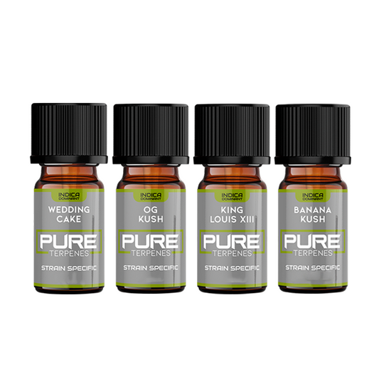 UK Flavour Pure Indica Strain Terpenes - 5ml | The CBD Hut