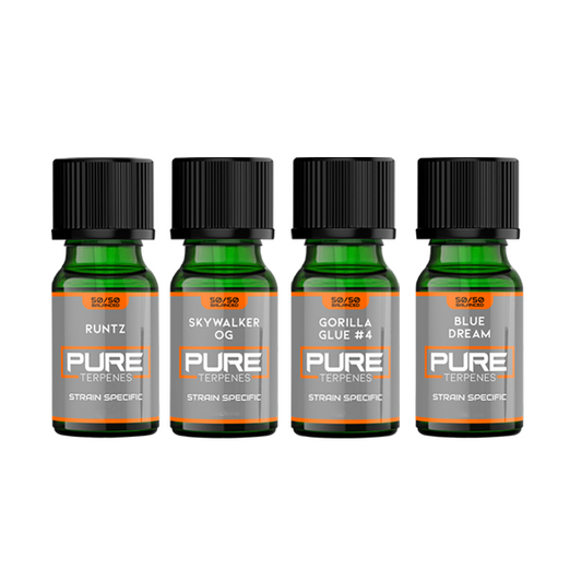 UK Flavour Pure Terpenes Balanced - 5ml | The CBD Hut