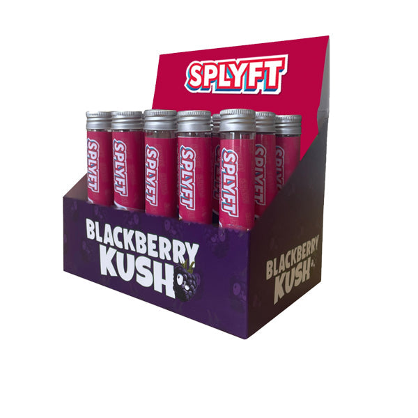 SPLYFT Cannabis Terpene Infused Rolling Cones – Blackberry Kush | The CBD Hut