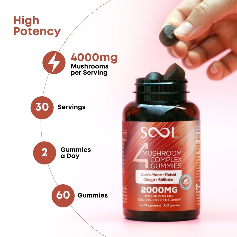 SOOL 4 Mushroom Gummies Berry 60 Gummies