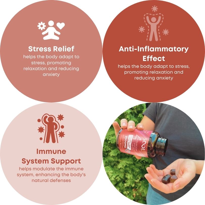 SOOL 4 Mushroom Gummies Berry 60 Gummies