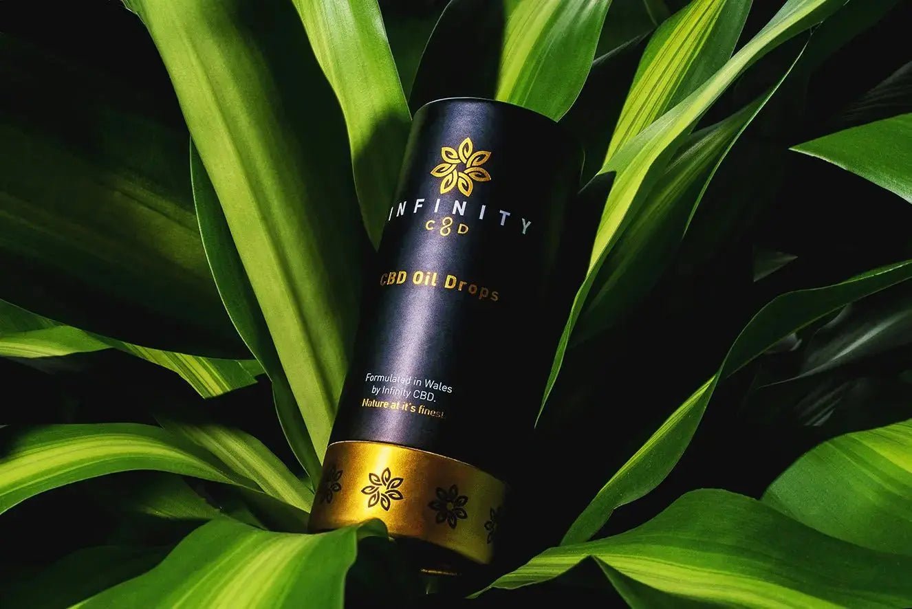 Infinity CBD 500mg CBD Oil Drops 10ml bottle