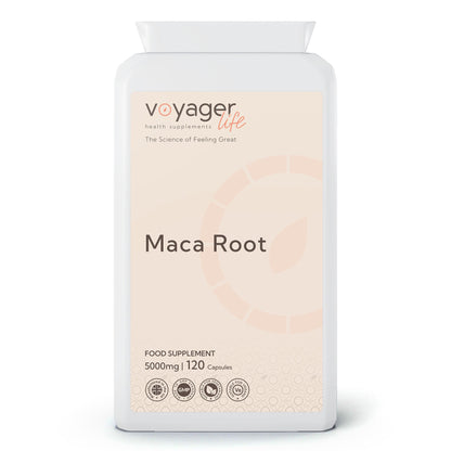 Voyager Maca Root 5,000mg 120 Capsules from Voyager at The CBD Hut