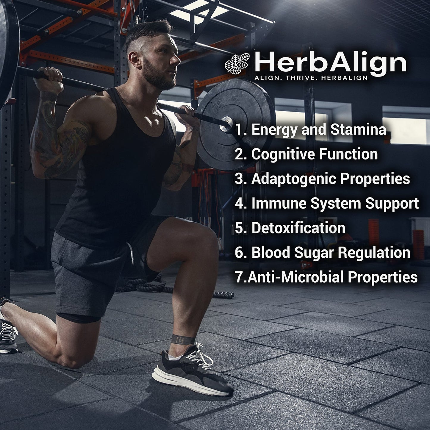 Herbalign Shilajit Capsules