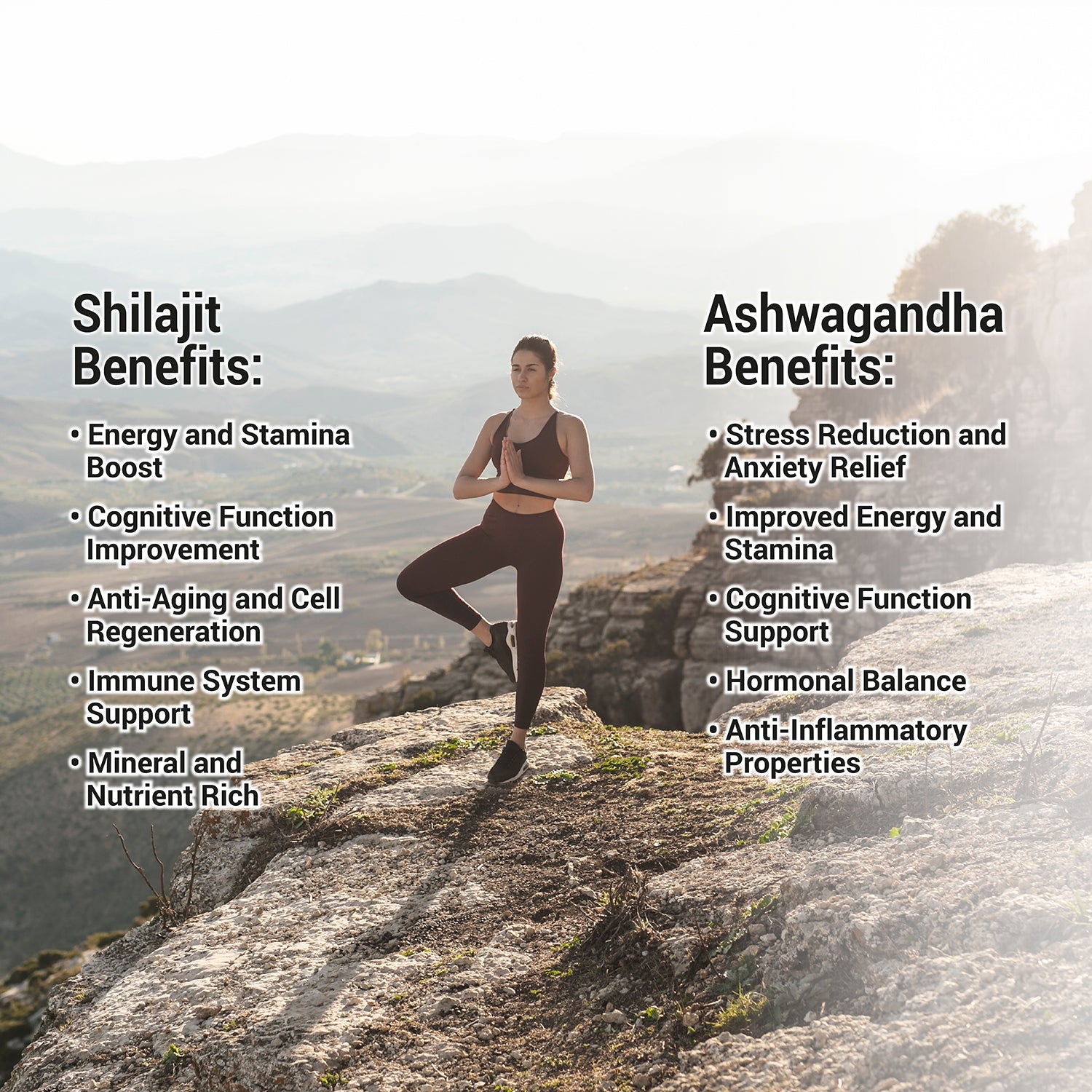 Herbalign Shilajit & Ashwagandha Capsules 1000mg