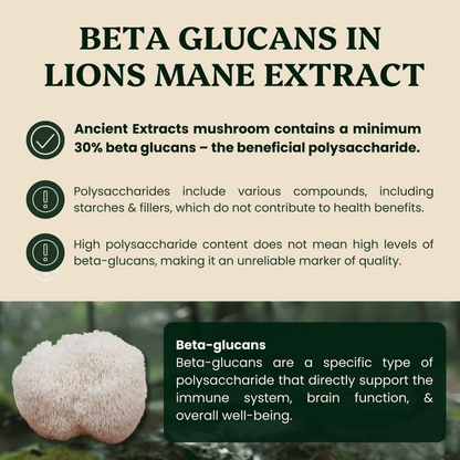 Ancient Extracts Lion’s Mane & Reishi Pair