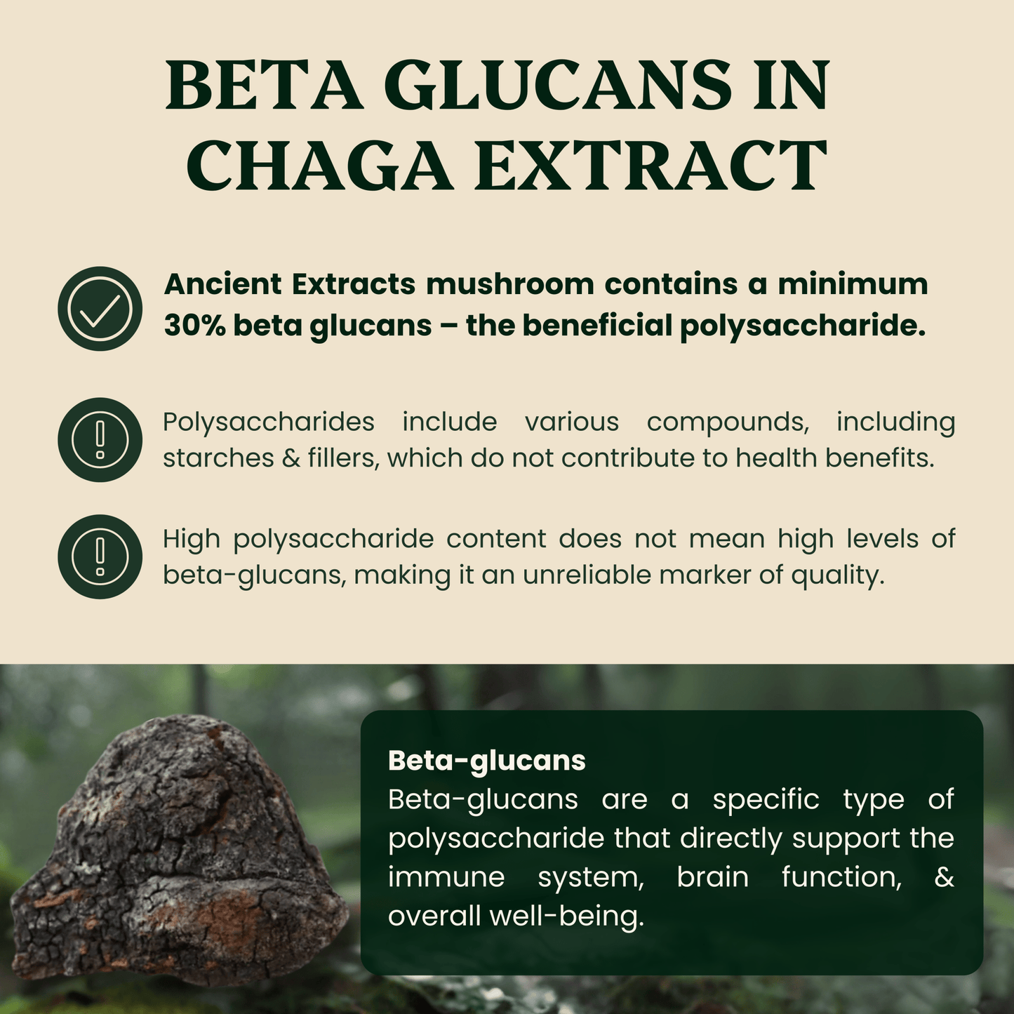 Ancient Extracts Chaga Mushroom Extract Powder