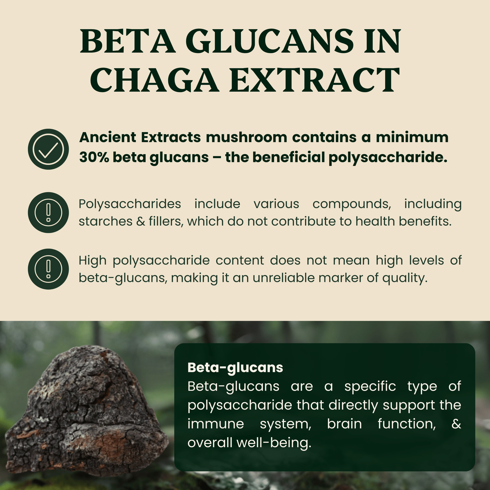 Ancient Extracts Chaga Mushroom Extract Powder