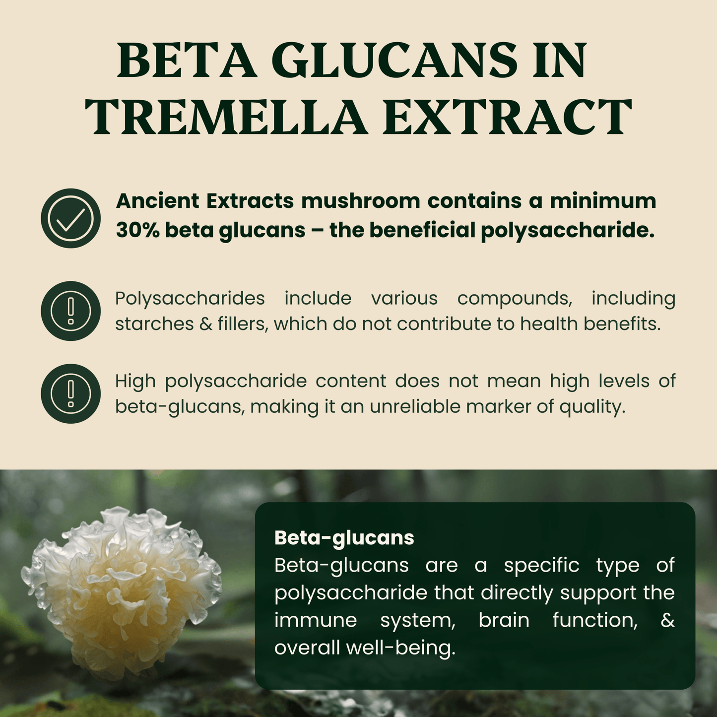 Ancient Extracts Tremella Mushroom Extract Powder